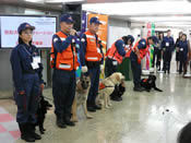 実演開始:introduction of rescue dogs demonstration