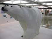 等身大白熊模型: a real size stature of polar bear