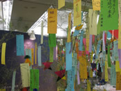 短冊の一部は7月の北海道洞爺湖サミットで展示された:Tanabata Star Festival